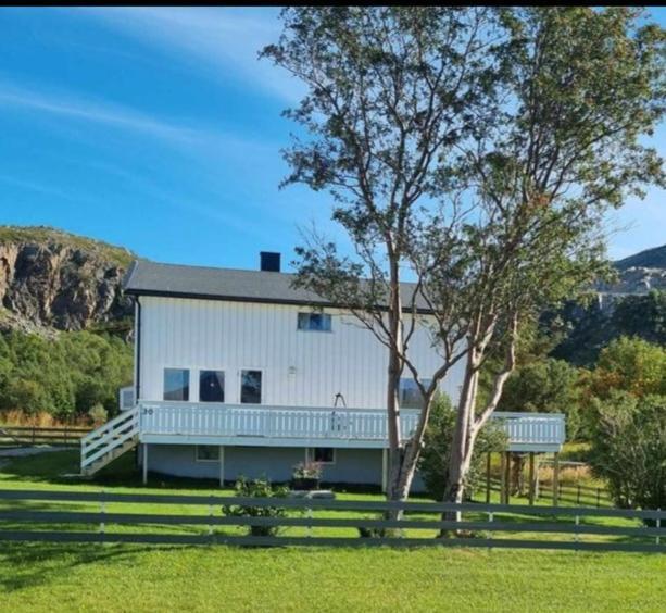Grotfjord Villa Tromso Ngoại thất bức ảnh